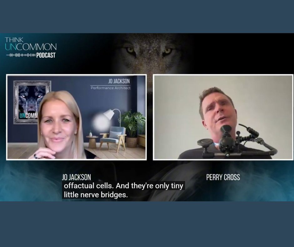 SPINALpedia tweet media