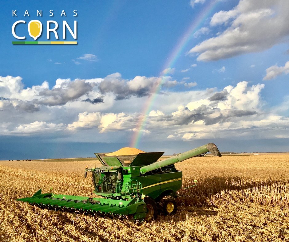 Kansas Corn tweet media