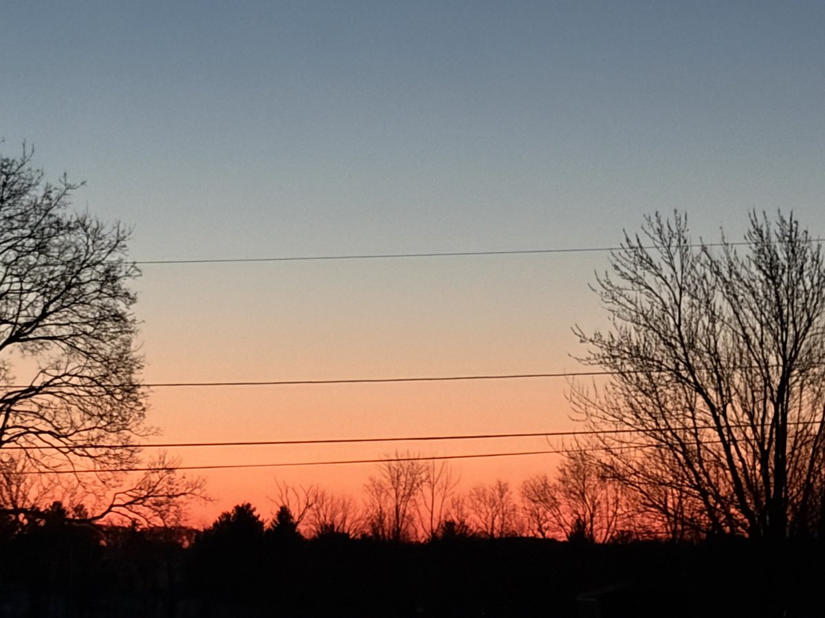 Papa Dino tweet media