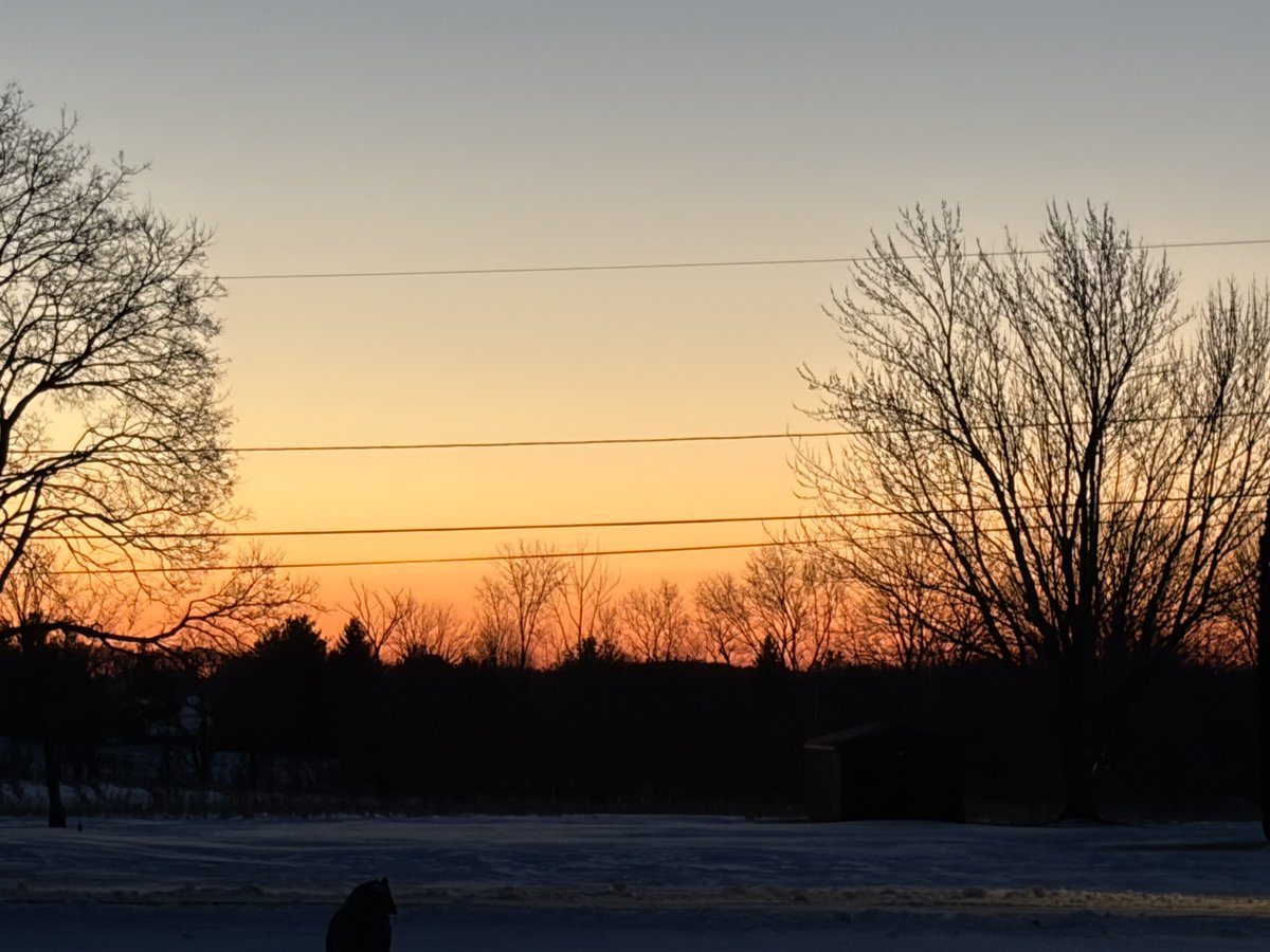 Papa Dino tweet media