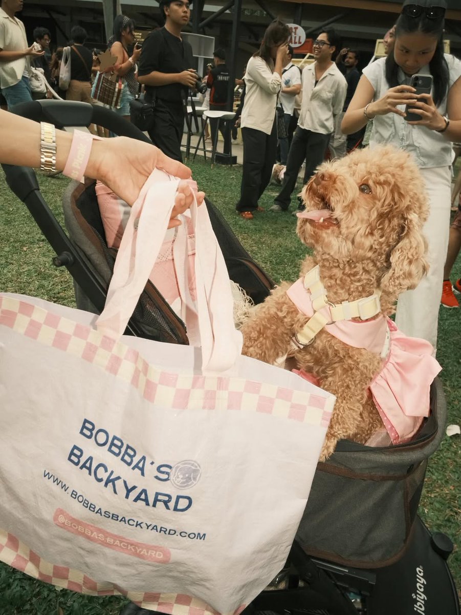 acn_chrizeeel tweet media