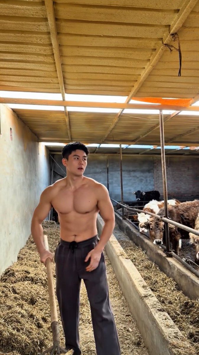 lubanbi-3 tweet media