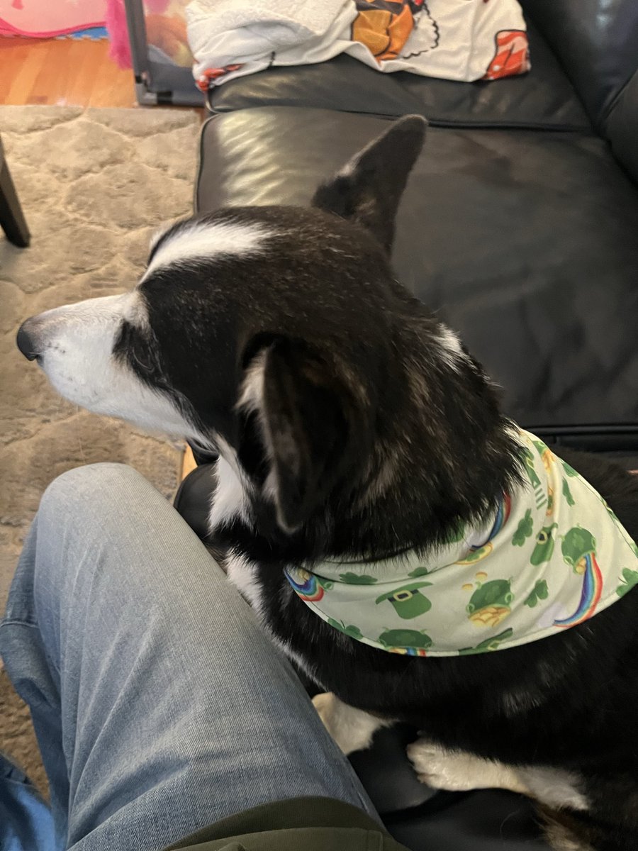 LotusOfDoom tweet media