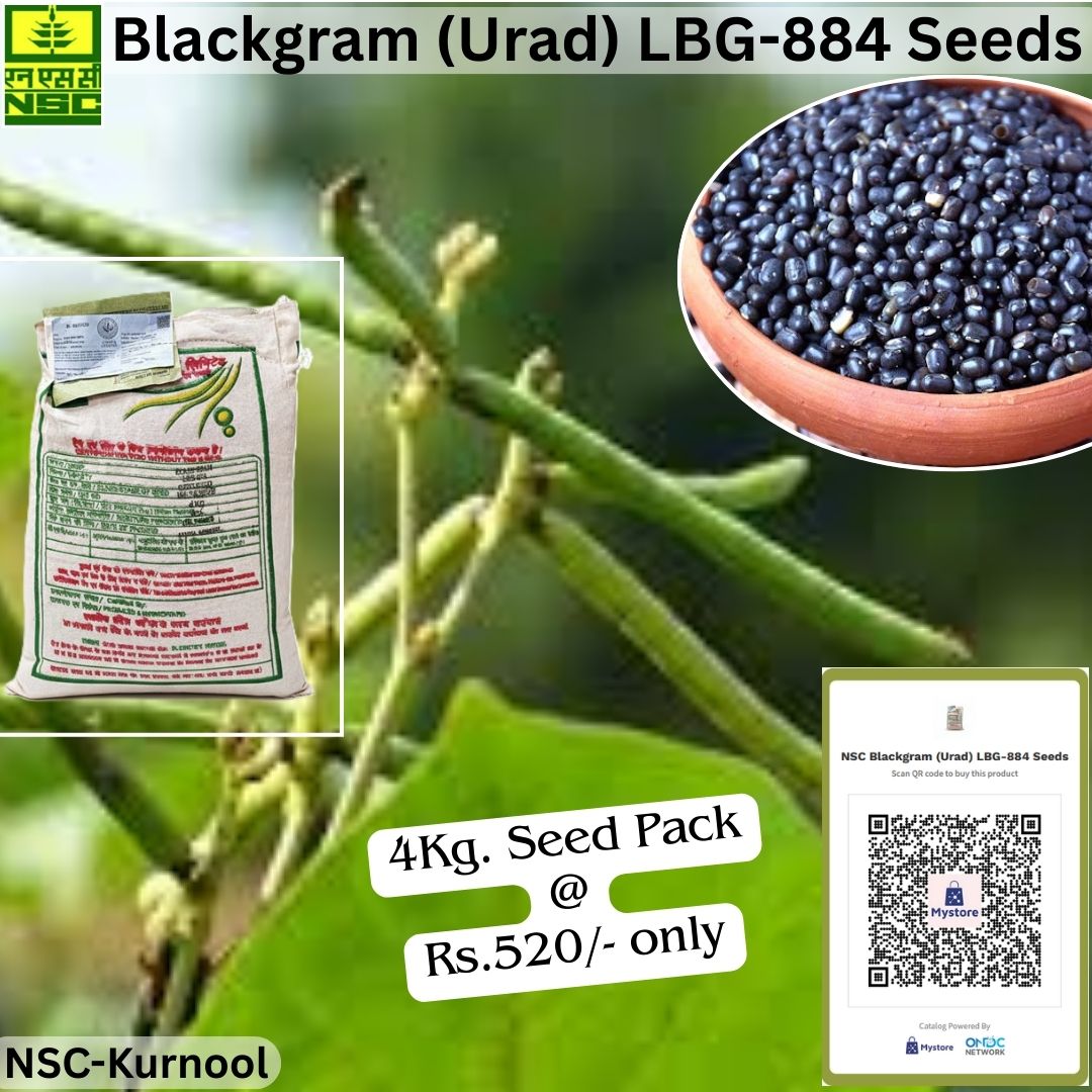 National Seeds Corporation Limited tweet media