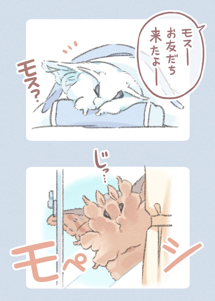 飼われているモスと野生のモス 