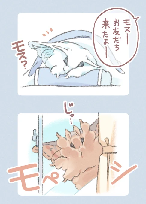 飼われているモスと野生のモス 