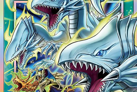 The Organization tweet media