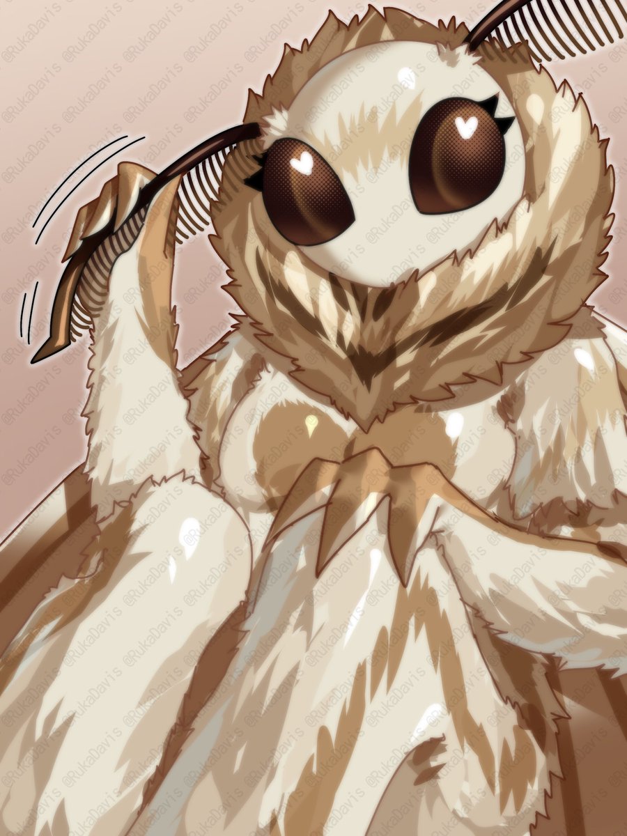 るか/Ruka tweet media