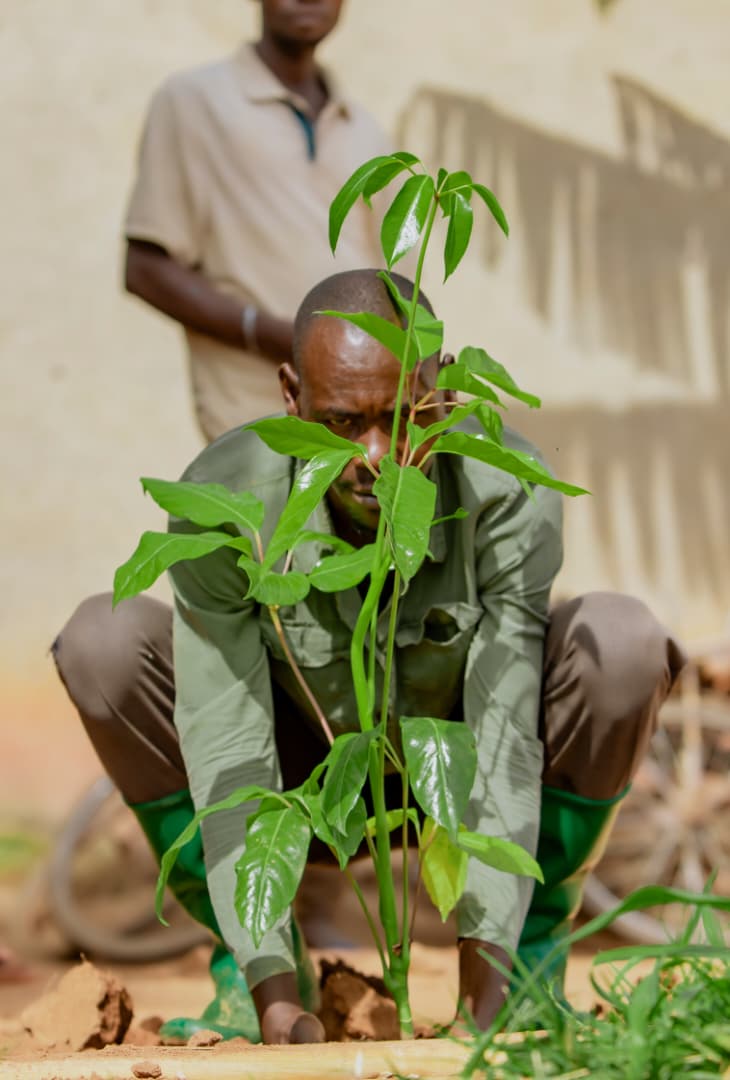 Rwanda Environment Management Authority tweet media