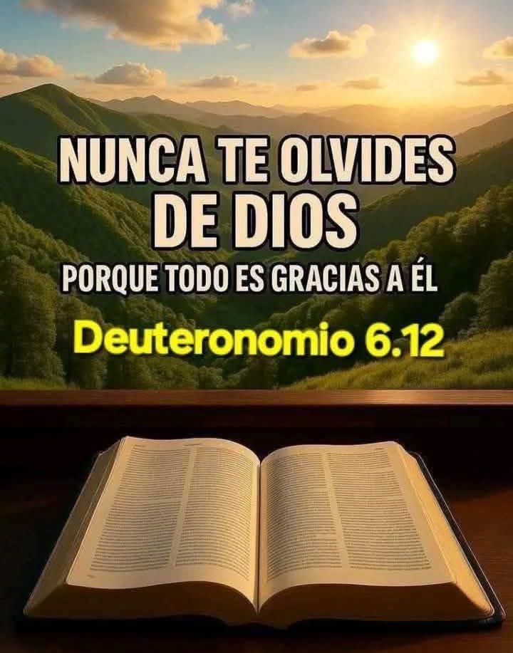 Yenny torres tweet media