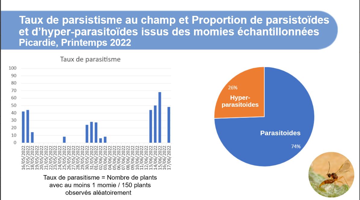 hub_observateur tweet media
