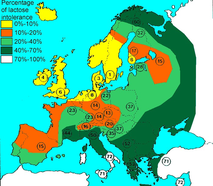 Vintage Maps tweet media