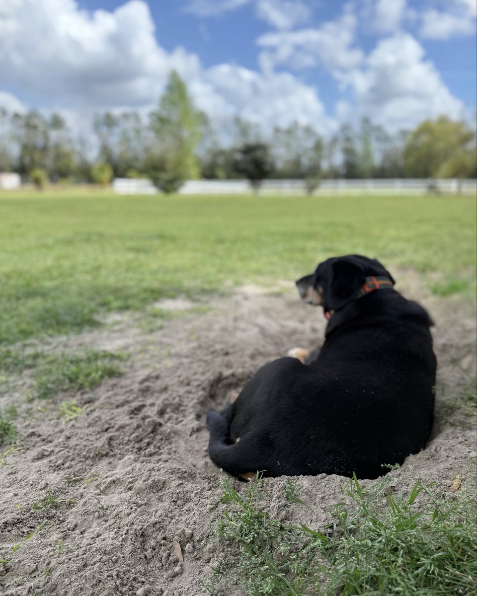 Catturd ™ tweet media