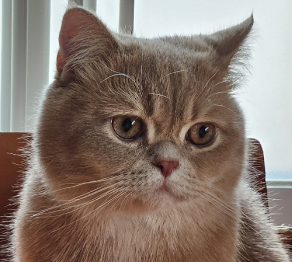 잡담계 tweet media