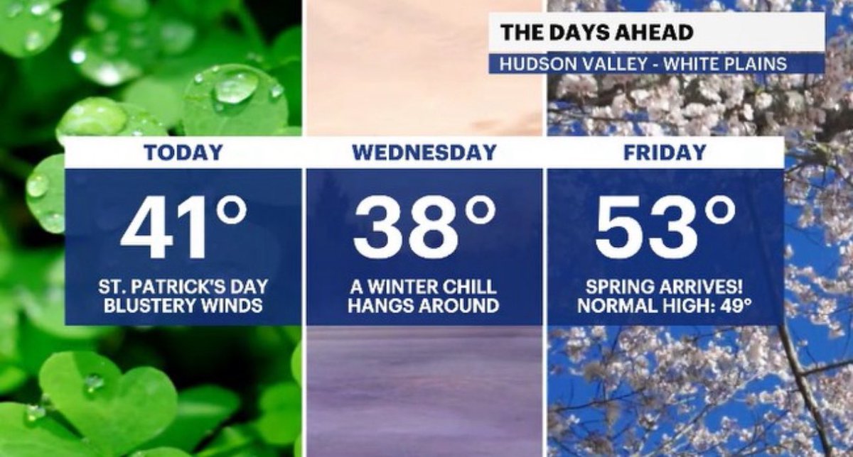 Addison Green tweet media