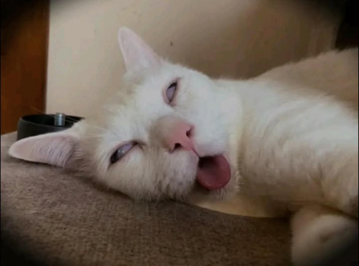 Cuando me dicen estas libre después del trabajo?
—Yo después del trabajo: