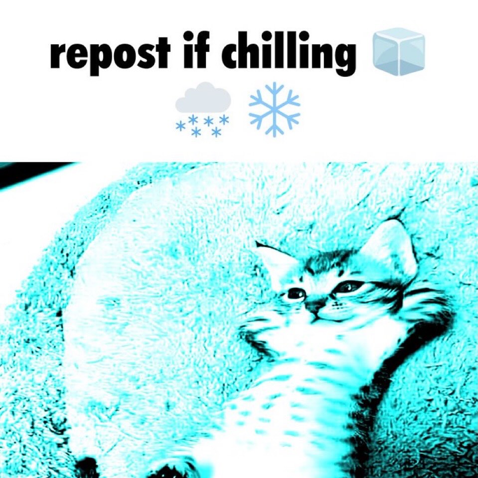 i drink soup tweet media