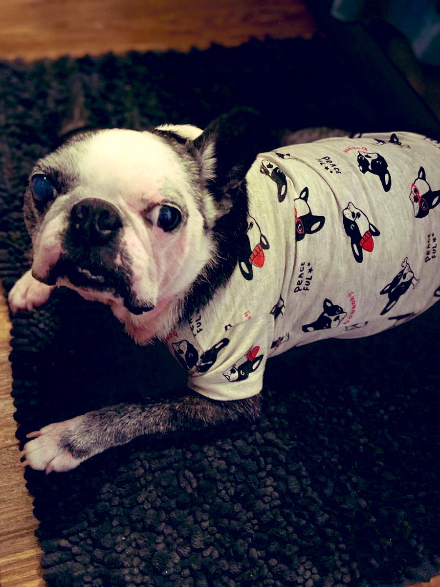 青木ロビン(downy/zezeco) tweet media