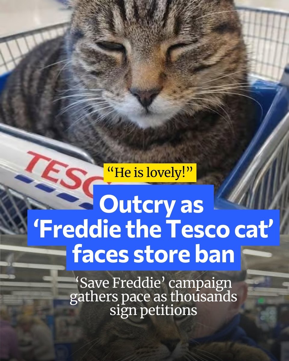 Change.org UK tweet media