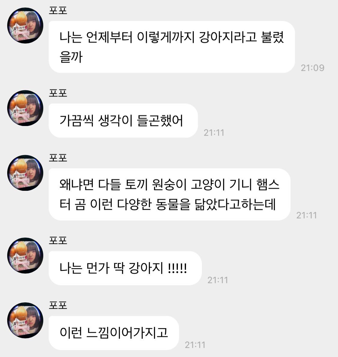 유진이는 참.. 평생을 강아지라 불리고 강아지임을 수긍하며 살다가 이렇게 한번씩 “내가 왜 강아지인가-”에 대한 원초적인 의문을 가질 때마다 넘 귀여운듯
그리고 이에 대한 의문에 늘 별다른 저항없이 여전히 강아지로 살아감..