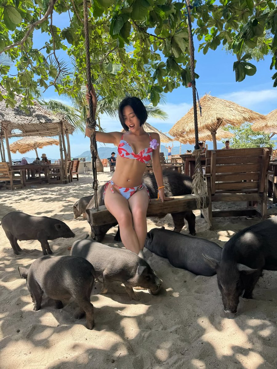 Brown King 🦁 tweet media