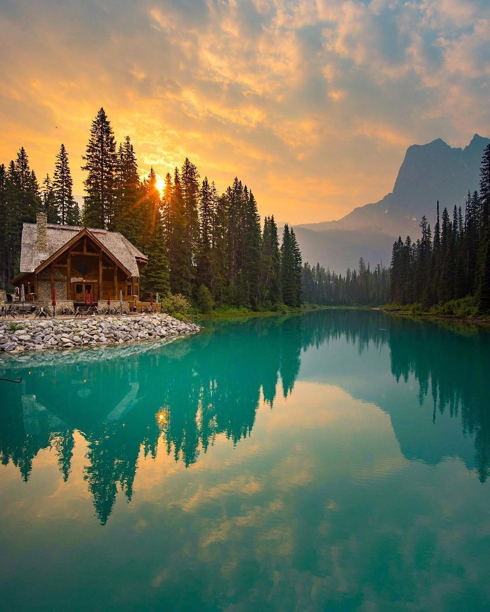 Earth Pictures tweet media