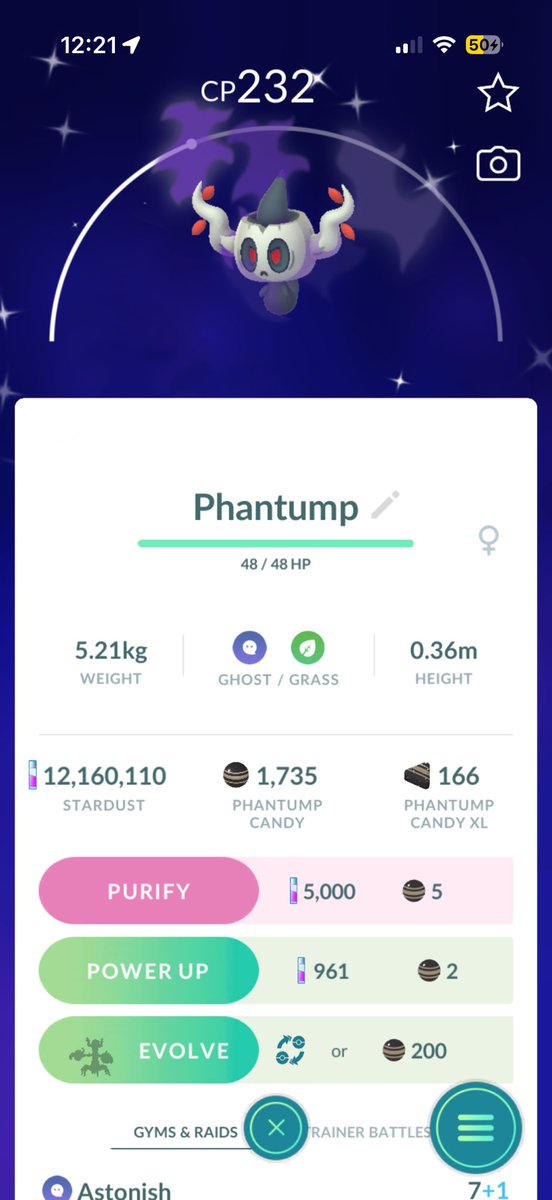 pokebearbez's tweet image. Shiny shadow Phantump from my midday rocket grunt . 
#pokemongo #pokemongoapp