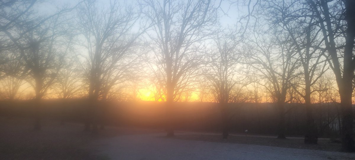 Elli McDs tweet media