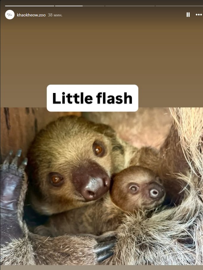 they posted him on insta 38min ago

cute *-*