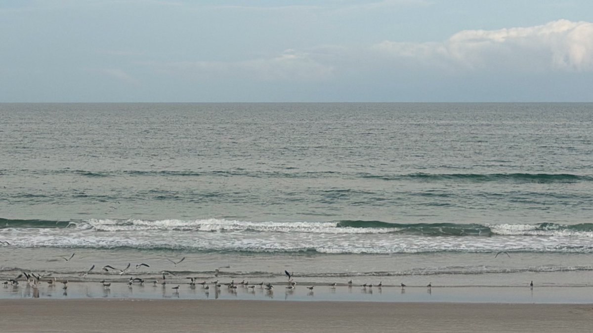 Matthew 11:28 Come to me, all you who are weary and burdened, and I will give you rest.