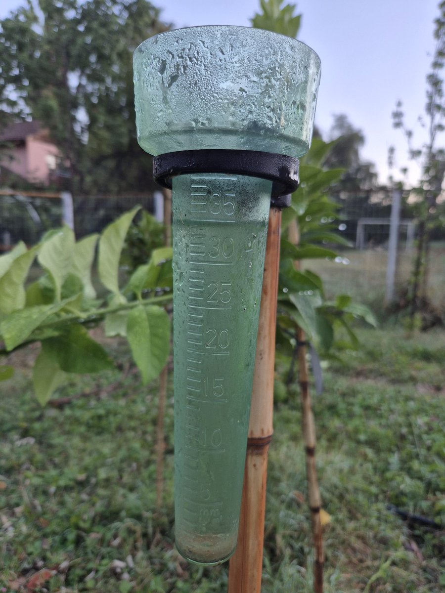 Martin Pino Silva tweet media