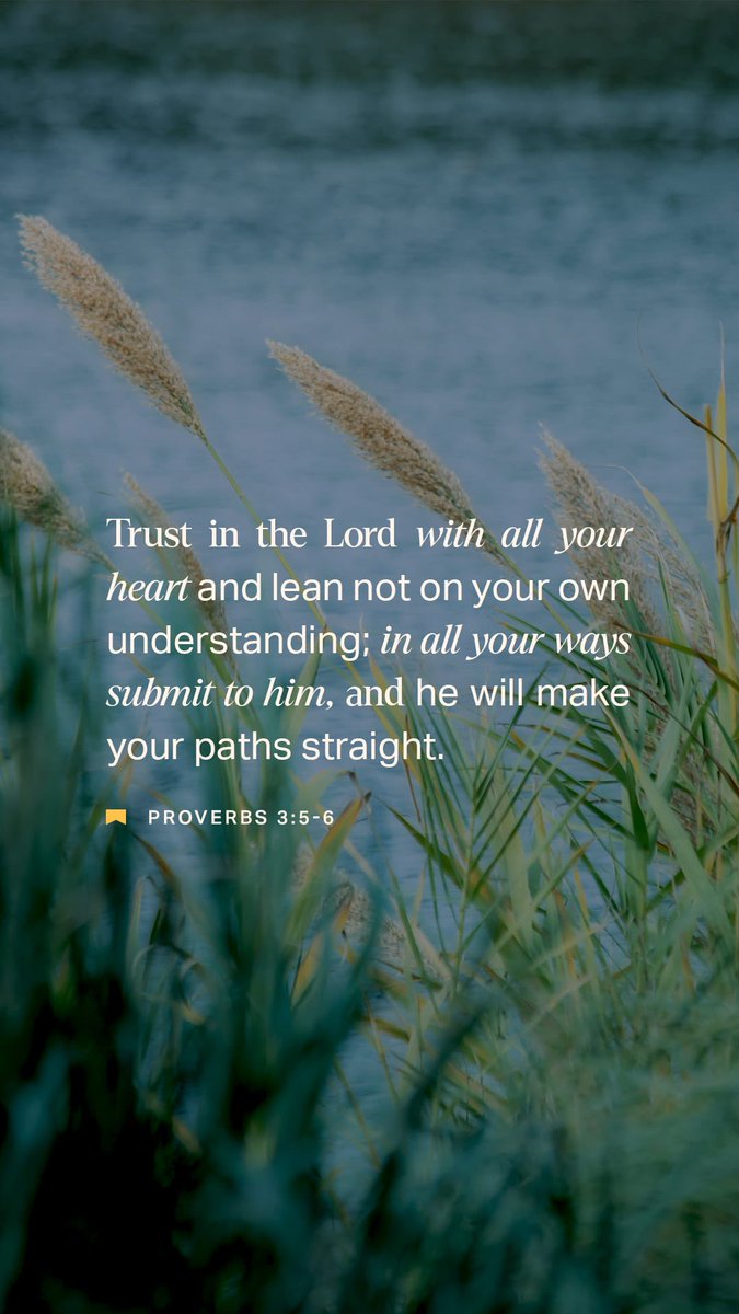 Collin Wallace tweet media