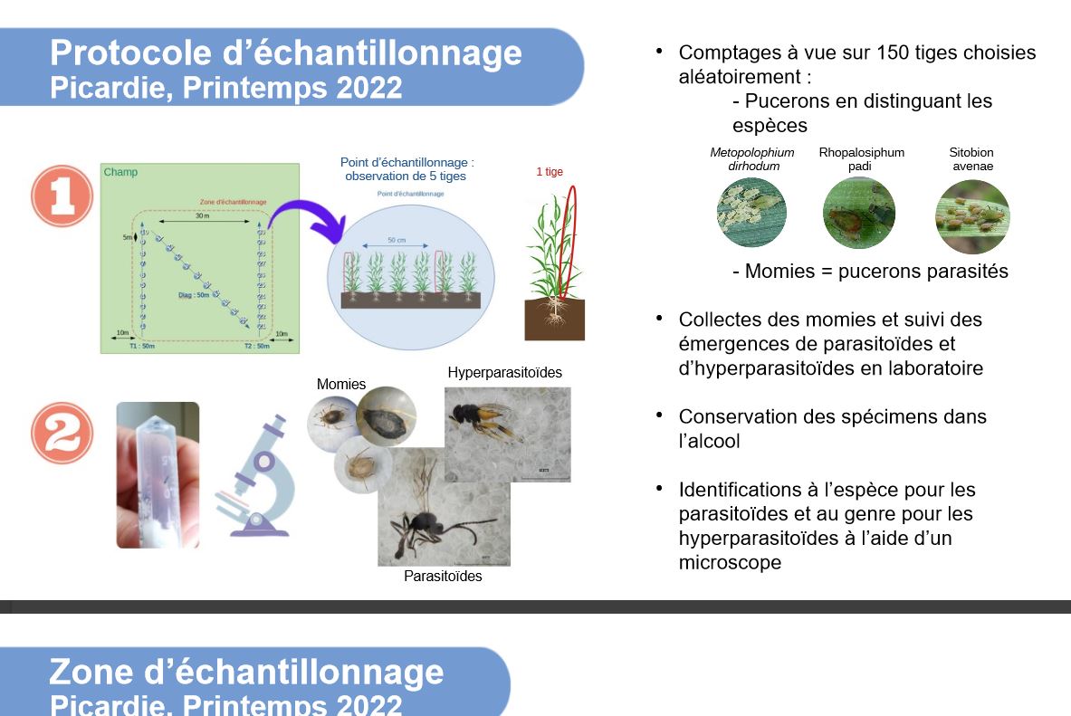 hub_observateur tweet media