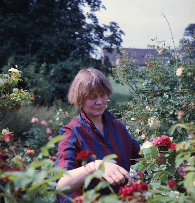 Hesse Philosophy tweet media