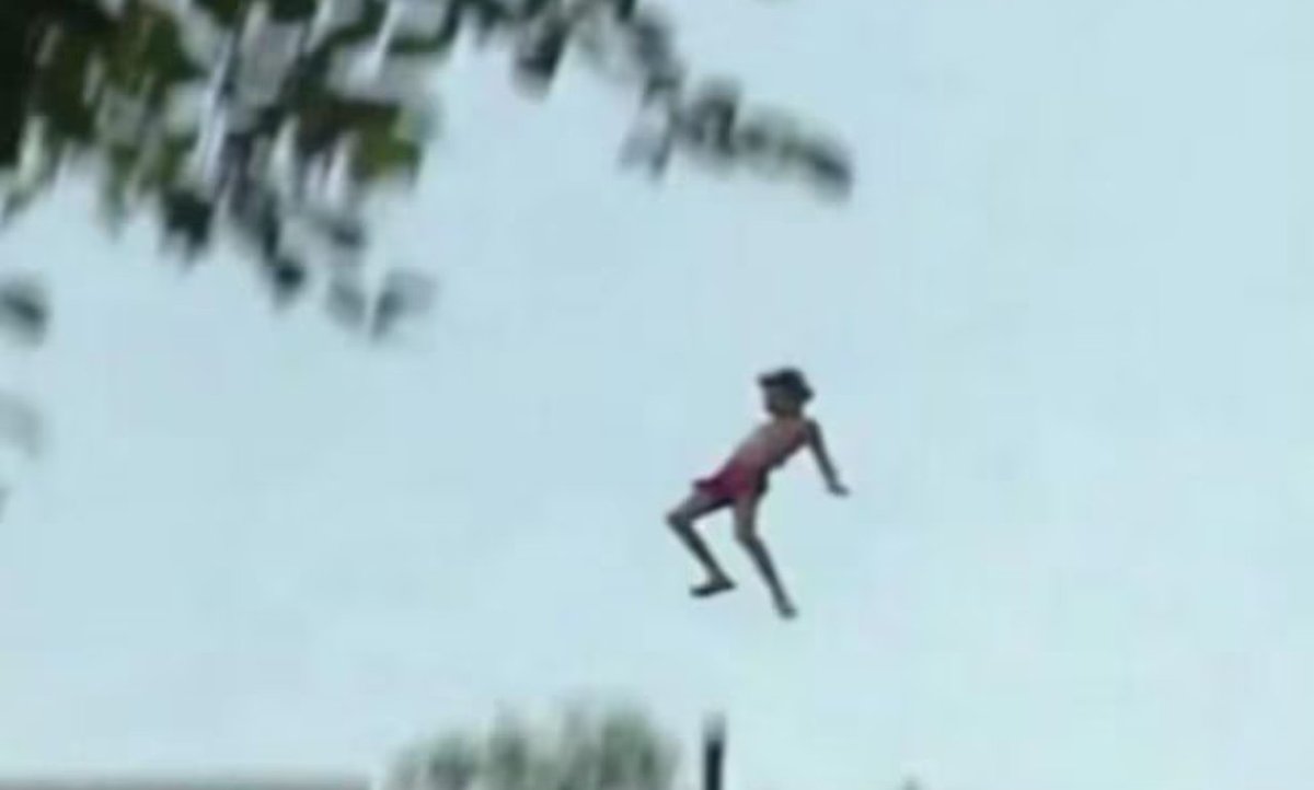 ger leche tweet media