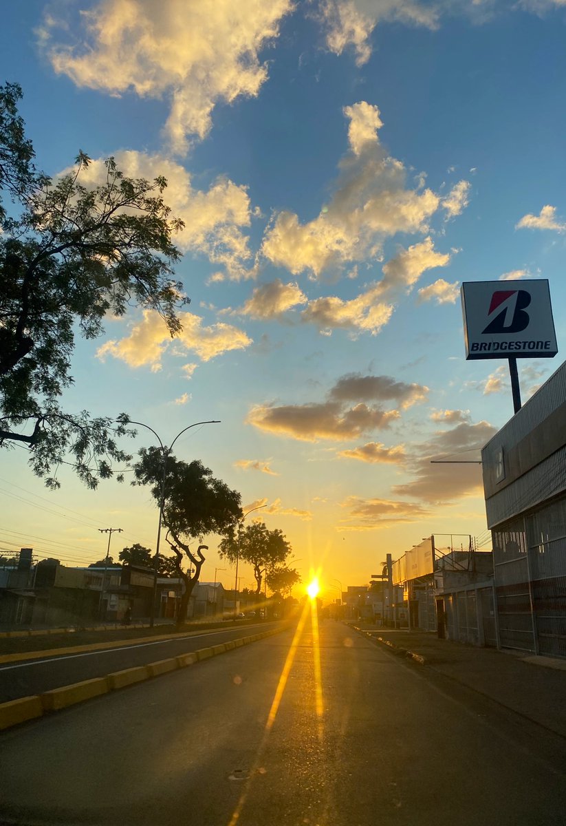 Maria Gabriela Nieves ✨ tweet media