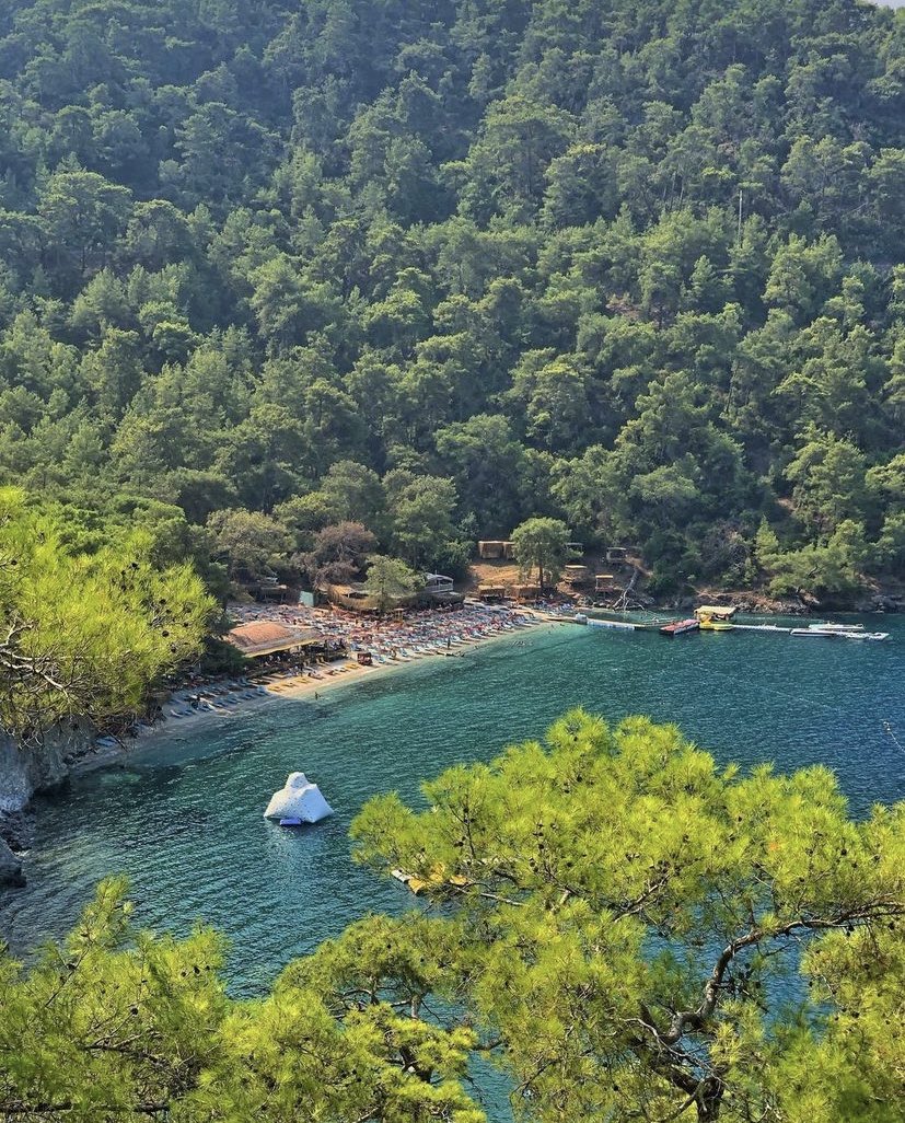 Evreni Merak Ediyoruz tweet media