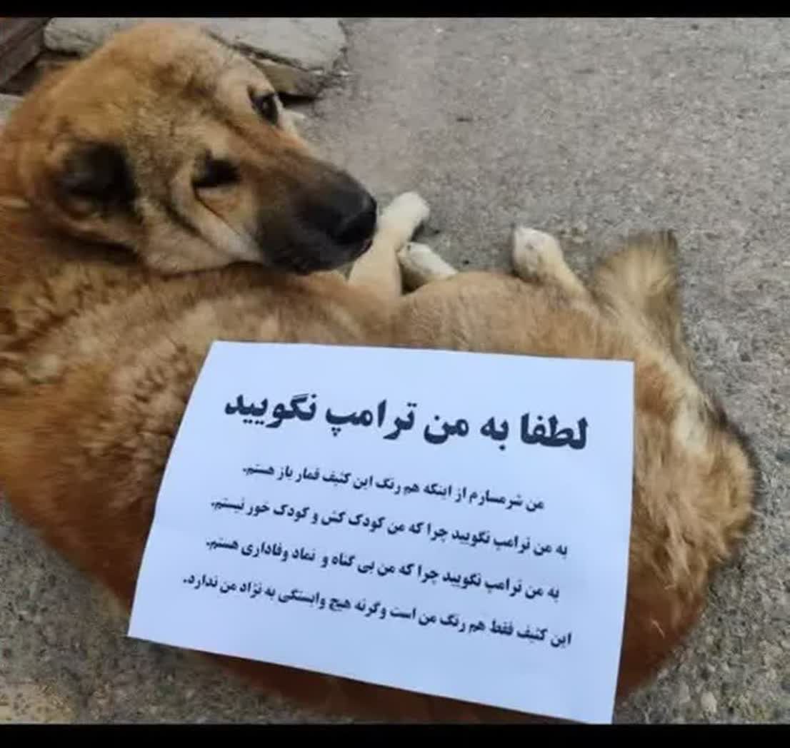باران عابدینی🎒 tweet media