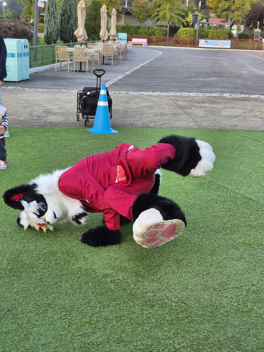 Halfcat(哈夫猫) 하프캣 tweet media