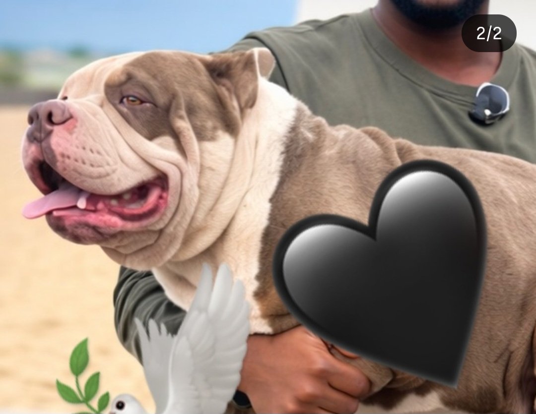 Grisel Bethancourt & Archivos Abiertos tweet media