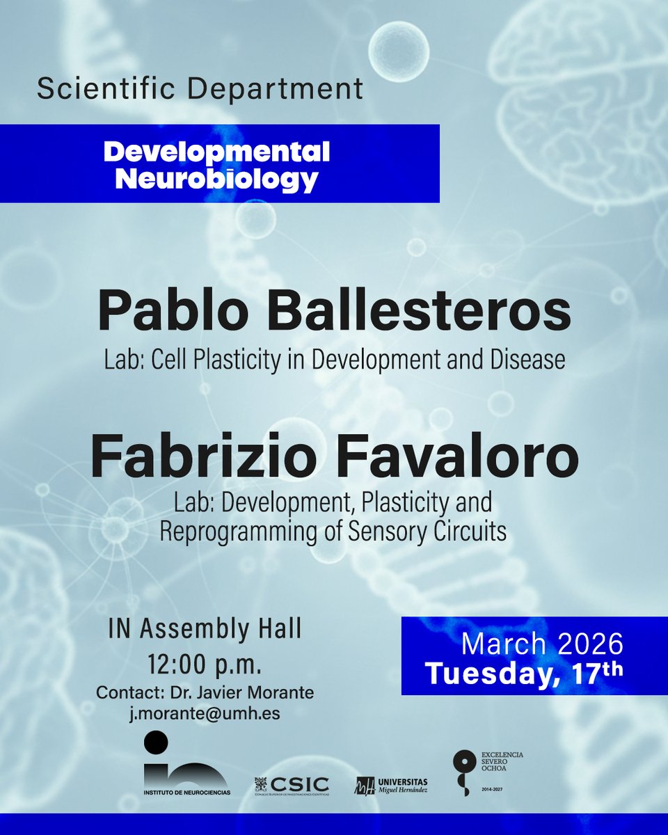 Instituto de Neurociencias UMH-CSIC tweet media