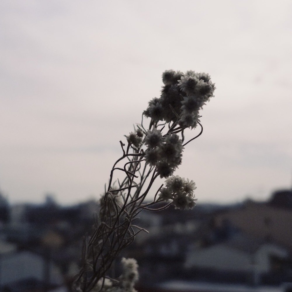 2YOU MAGAZINE tweet media