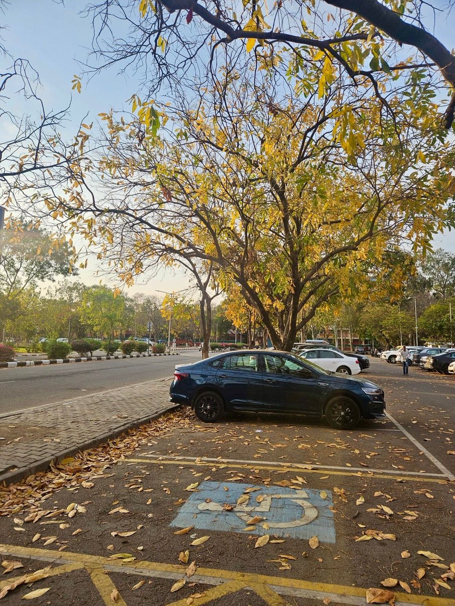 Snehal 🕊️ tweet media