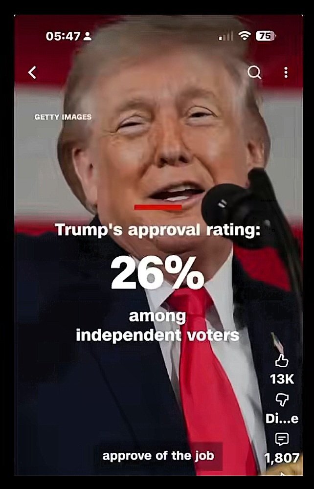 ⚘️Carina tweet media