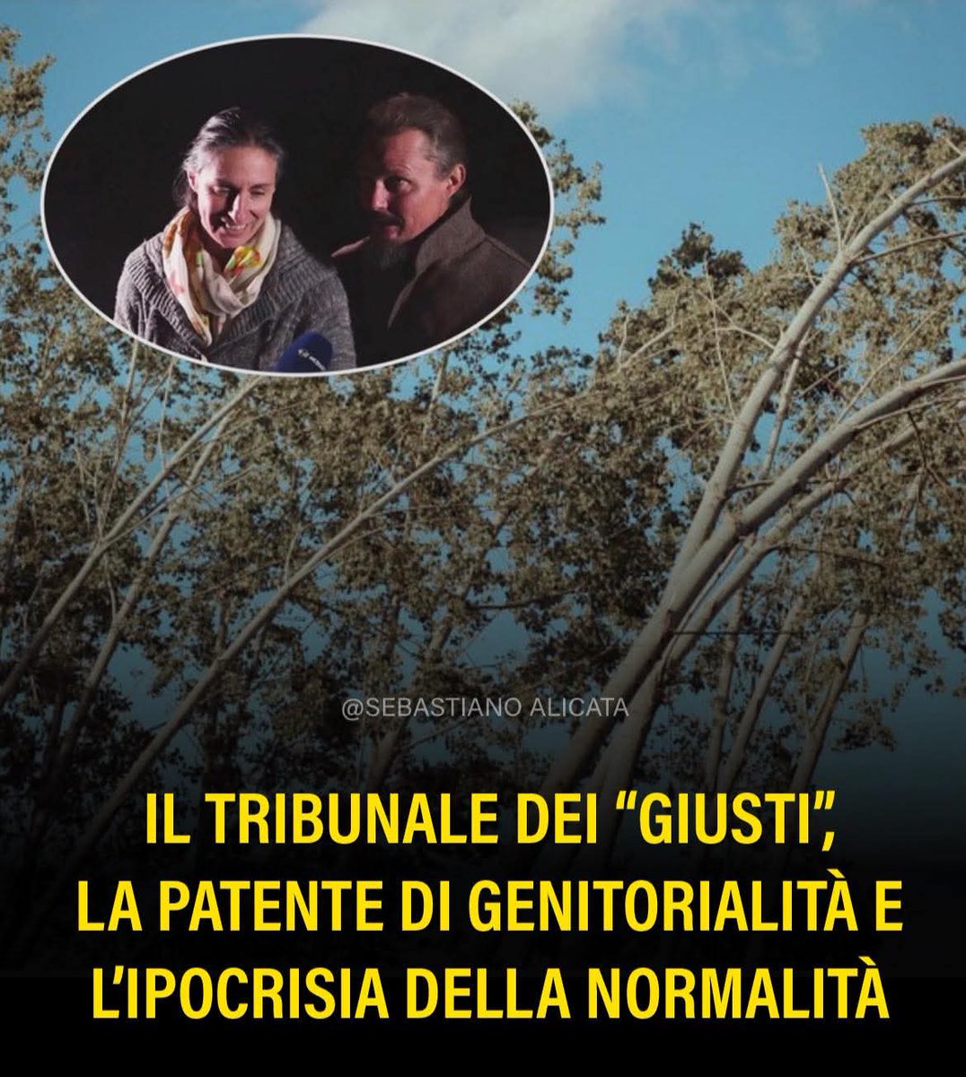 Sabrina F. tweet media