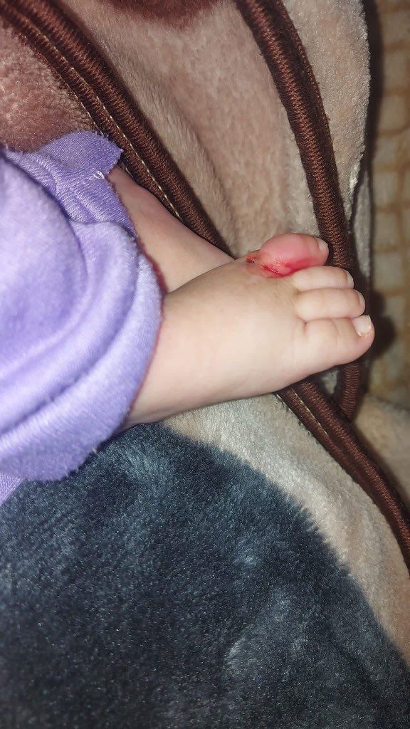 Dr.SAEB_FROM_GAZA tweet media