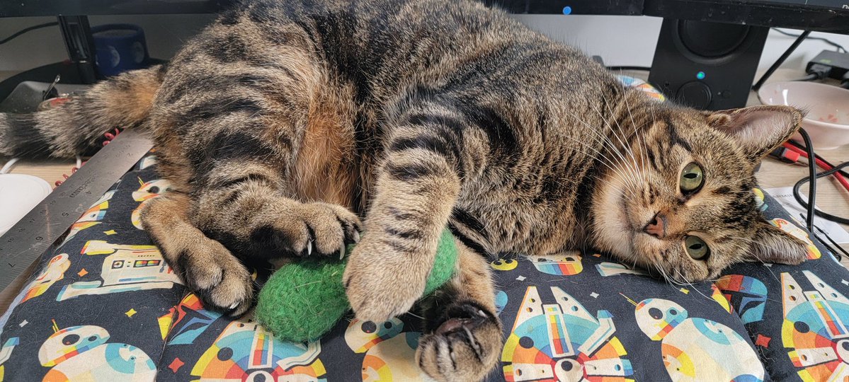 Dr Heather Hughson 🇺🇦 tweet media