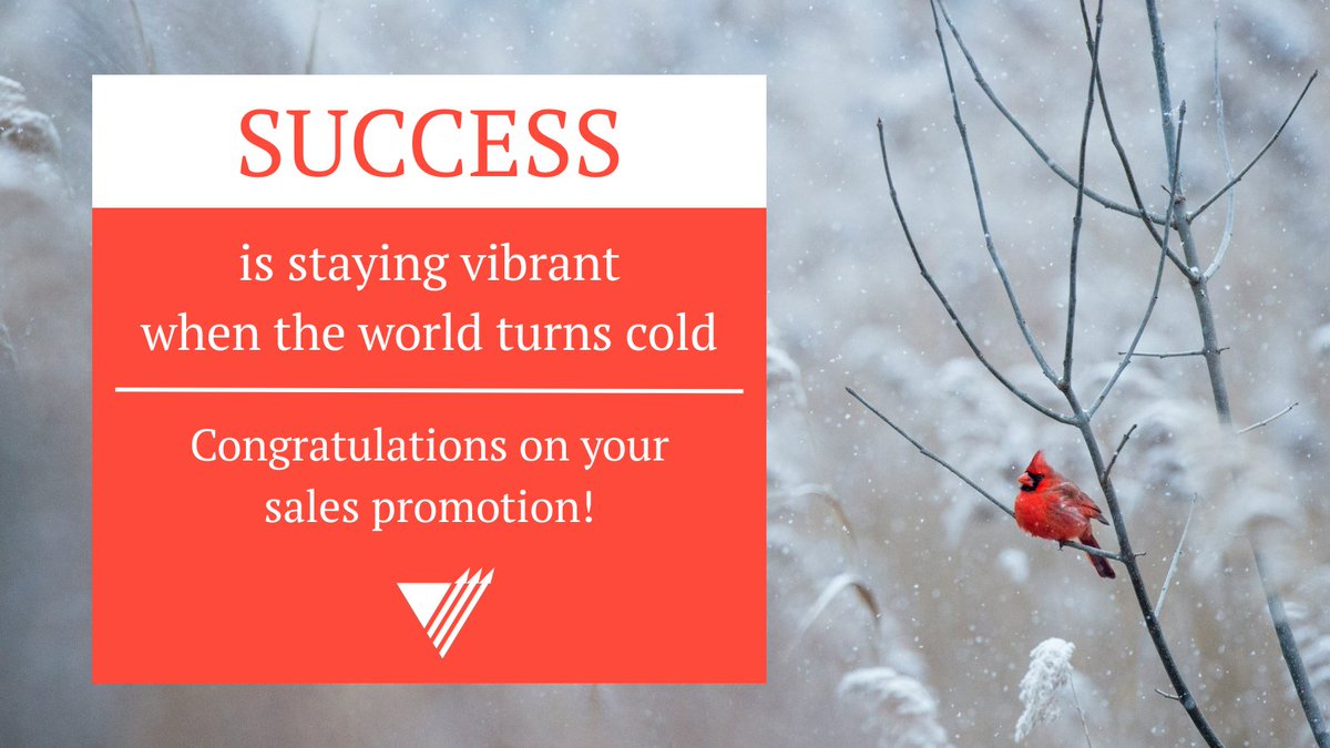 Vector Marketing tweet media