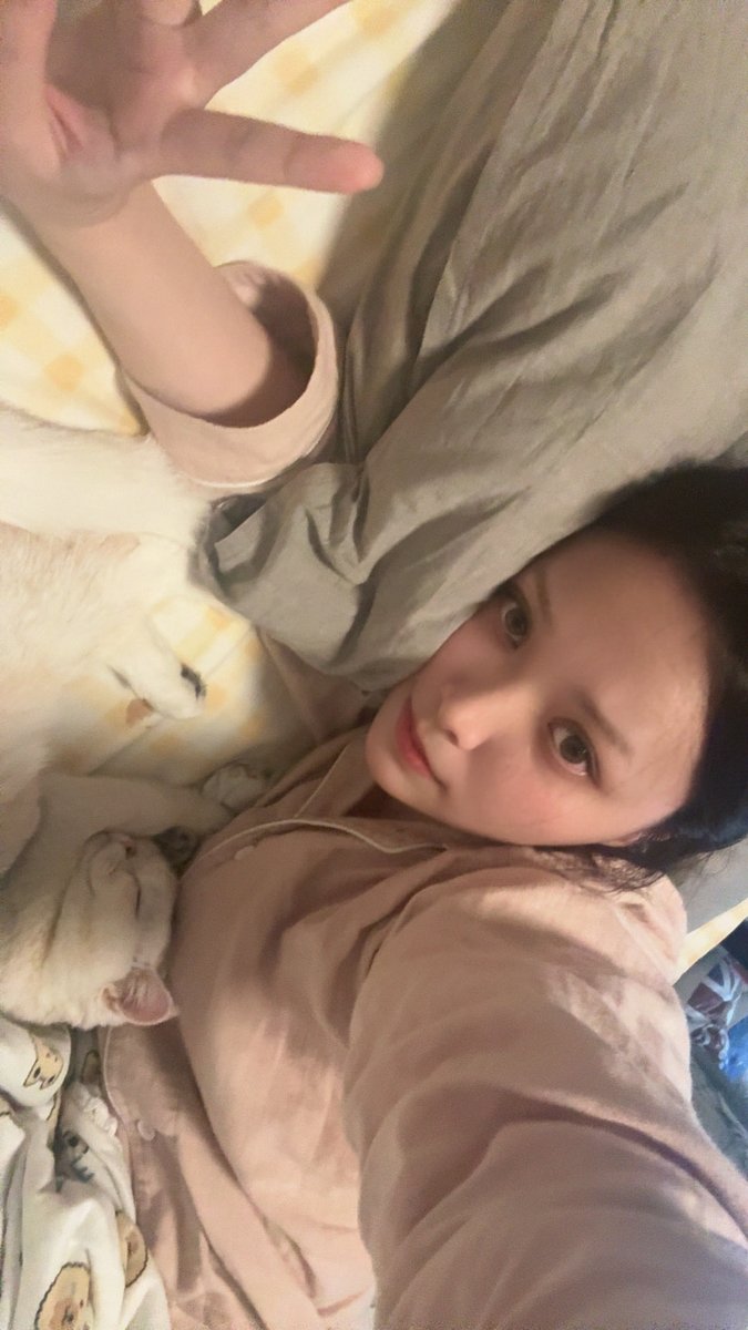 快乐球 tweet media