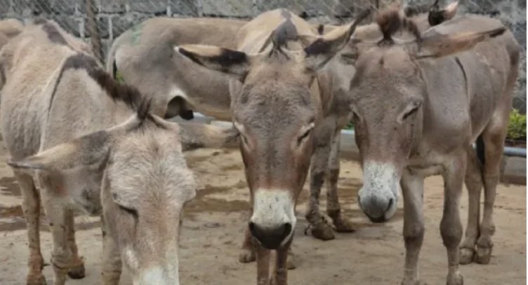 Obissa Juste Mien🇧🇫 tweet media